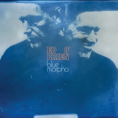 EdOBrien-BlueMorpho